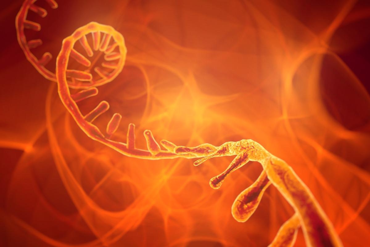 Study: Sequence-selective purification of biological RNAs using DNA nanoswitches. Image Credit: CROCOTHERY/Shutterstock