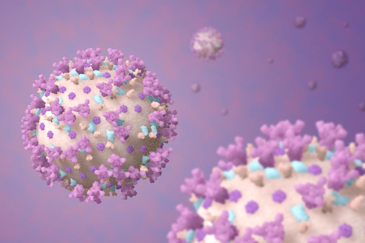 Study: Cell Surface SARS-CoV-2 Nucleocapsid Protein Modulates Innate and Adaptive Immunity. Image Credit: MedMoMedia/Shutterstock
