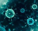 Study shows varying population immunity against SARS-CoV-2