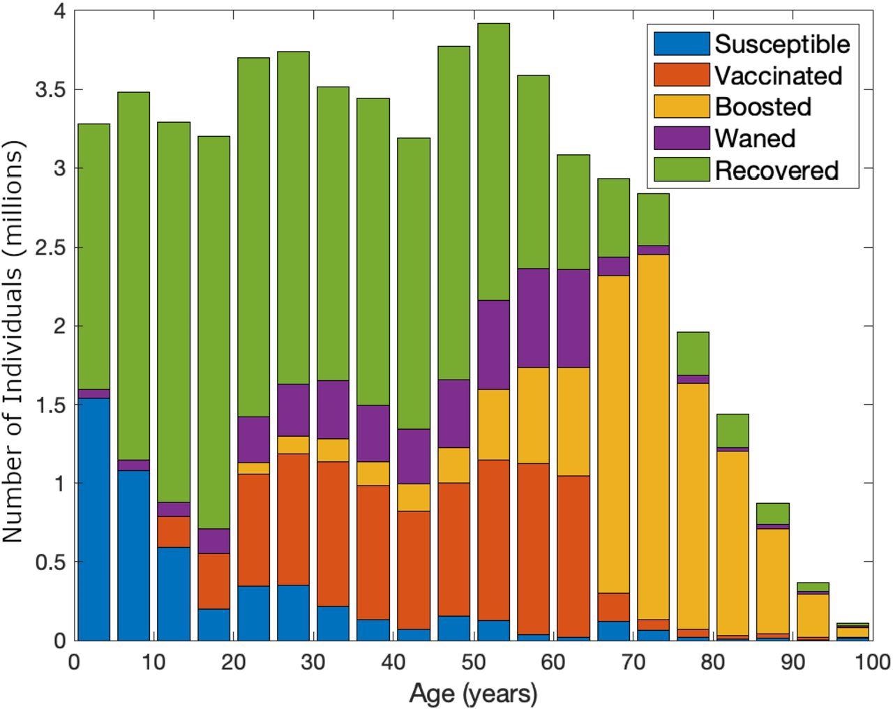 Estimated distribution of immune status by age from the model at the start of December 2021. Susceptible individuals (who have no protection, blue) are concentrated in the youngest age-groups, while those whose immunity is from infection (recovered in green) are generally below 60. For those above 60 years old, the vast majority are protected by booster vaccines (yellow).