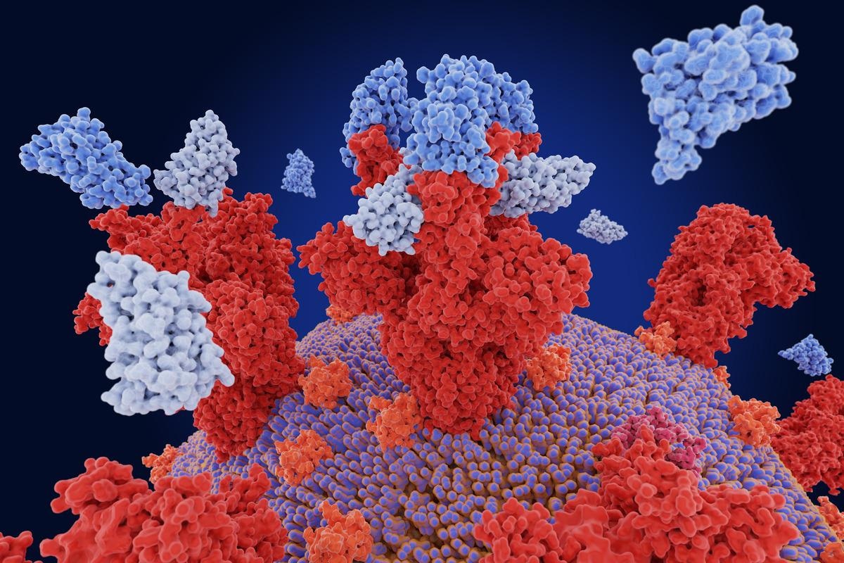 Study: Super-immunity by broadly protective nanobodies to sarbecoviruses. Image Credit: Juan Gaertner/Shutterstock