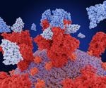 Study finds pan-sarbecovirus nanobodies can enhance development of super-immunity