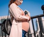 Study suggests that previous COVID-19 infections do not affect pregnancy