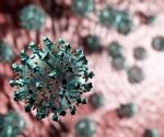 Levels of infectious SARS-CoV-2 in vaccinated and unvaccinated individuals