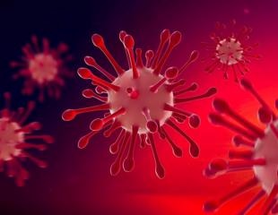Researchers investigate SARS-CoV-2 specific inflammatory response