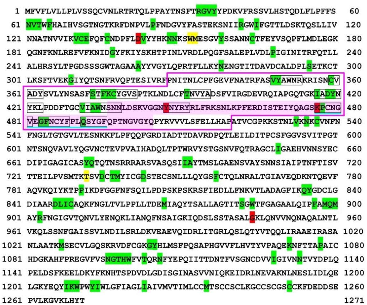 Self/nonself mapping of the SARS-CoV-2 spike protein of the Delta variant. The first amino acids of nonself SCSs are indicated by green (present in RefSeq) or red (new in this variant) shading. Other SCSs with no such indications are self SCSs. The receptor binding domain (RBD) [36] is boxed in pink lines. The receptor binding motif (RBM) [37,38] is shaded in pink. The nonself SCSs in the RBM are boxed in black lines. A potentially important nonself SCS region for vaccine development in the RBD is underlined in blue. For self/nonself mapping of RefSeq, see Otaki et al. (2021)