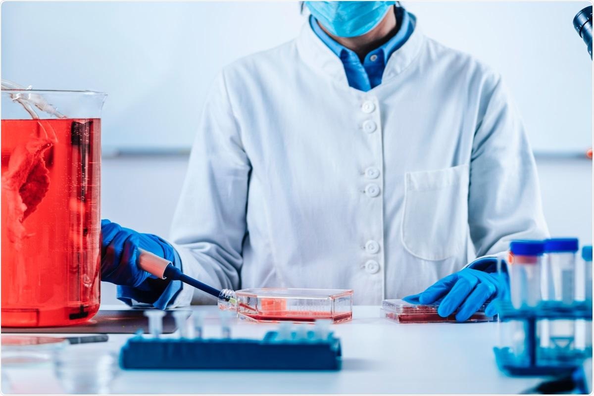 Study: Cell culture model system utilizing engineered A549 cells to express high levels of ACE2 and TMPRSS2 for investigating SARS-CoV-2 infection and antivirals. Image Credit: Microgen / Shutterstock.com