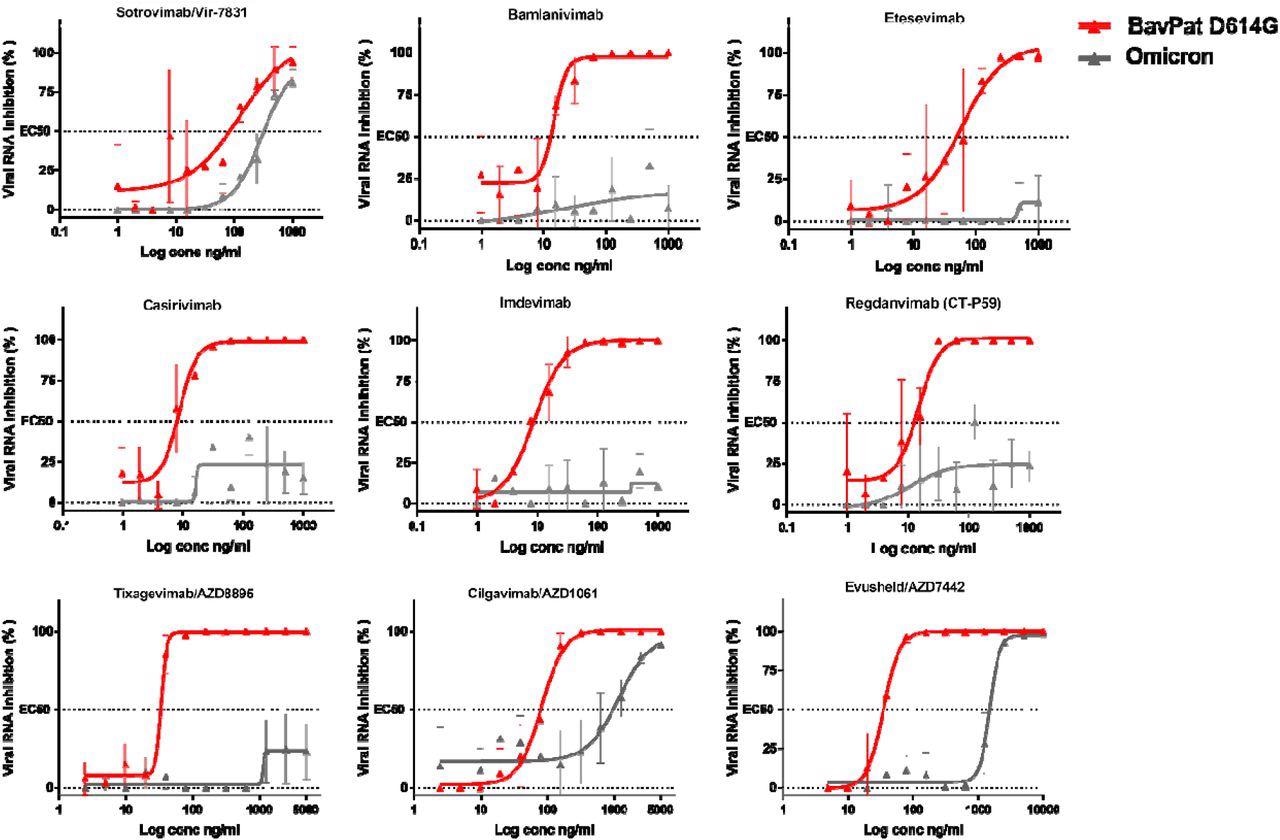 Dose-response curves reporting the susceptibility of the SARS-CoV-2 BavPat1 D614G ancestral strain and Omicron variant to a panel of therapeutic monoclonal antibodies. Antibodies tested: Casirivimab/REGN10933, Imdevimab/REGN10987, Bamlanivimab/LY-CoV555, Etesevimab/LY-CoV016, Sotrovimab/Vir-7831, Regdanvimab/CT-P59, Tixagevimab/AZD8895, Cilgavimab/AZD1061 and Evusheld/AZD7742. Data presented are from three technical replicates in VeroE6-TMPRSS2 cells, and error bars show mean±s.d.