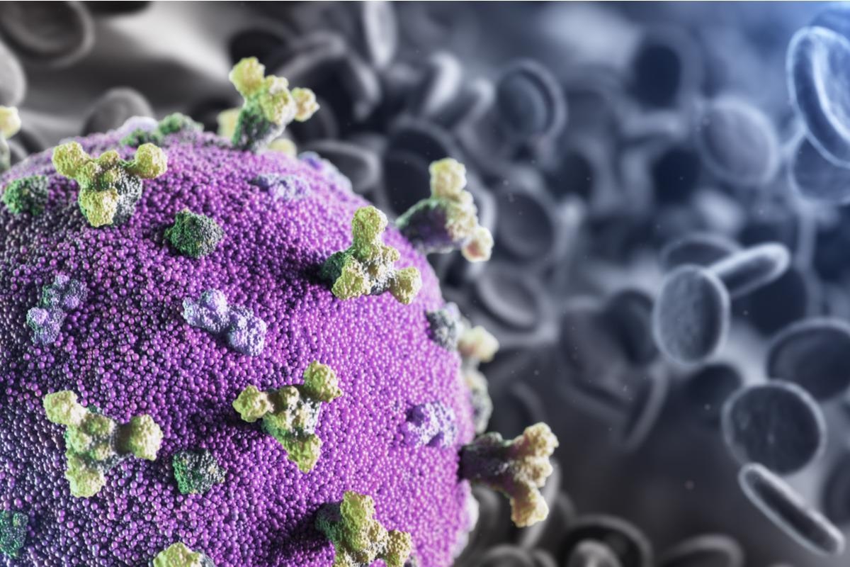 Study: Protection afforded by prior infection against SARS-CoV-2 reinfection with the Omicron variant. Image Credit: creativeneko/Shutterstock