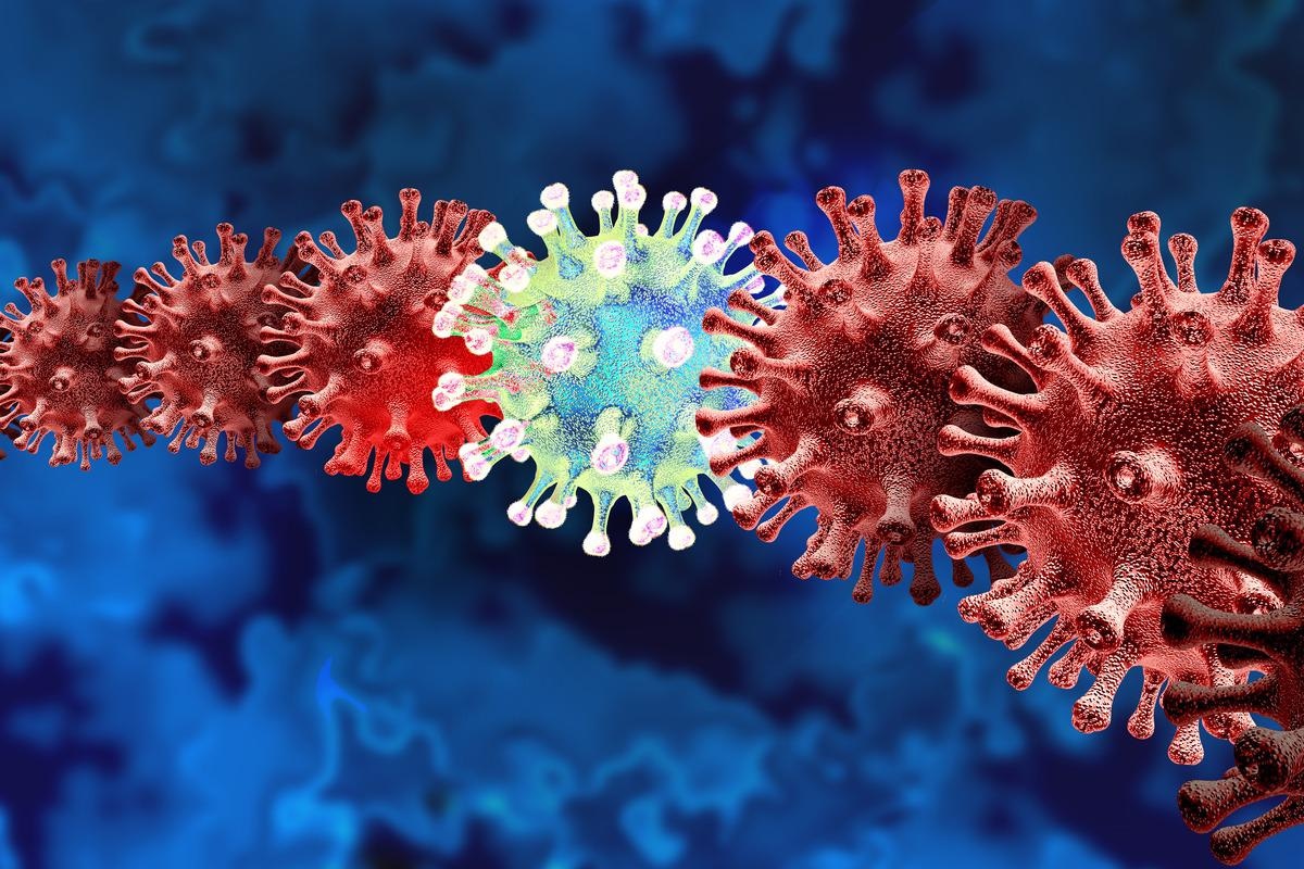 Study: The emergence, spread and vanishing of a French SARS-CoV-2 variant exemplifies the fate of RNA virus epidemics and obeys the Black Queen rule. Image Credit: Lightspring/Shutterstock