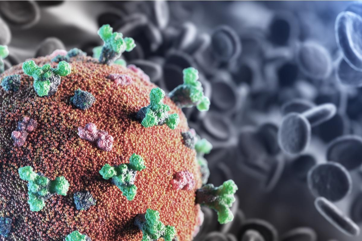 Study: T Cells Targeting SARS-CoV-2: By Infection, Vaccination, and Against Future Variants. Image Credit: creativeneko/Shutterstock