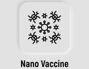 Nanovaccines and their immunomodulatory effect against human viruses