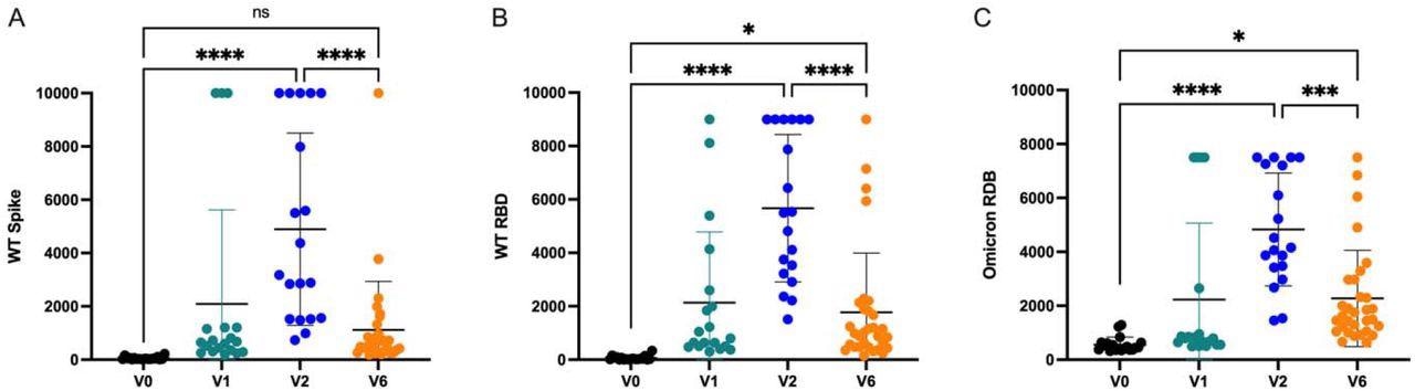Adolescent anti-SARS-CoV-2 antibody responses over time. Humoral responses to a) Wildtype (WT) Spike b) WT Receptor Binding Domain (RBD), and c) Omicron RBD are quantified prior to vaccination, 2-3 weeks following the first vaccine dose, 2-4 weeks following the second mRNA vaccine dose, and 6 months following the second mRNA vaccine dose. Displayed as international units. Analysis by ANOVA. ns = not significant, * P < 0.05, *** P < 0.001, **** P < 0.0001