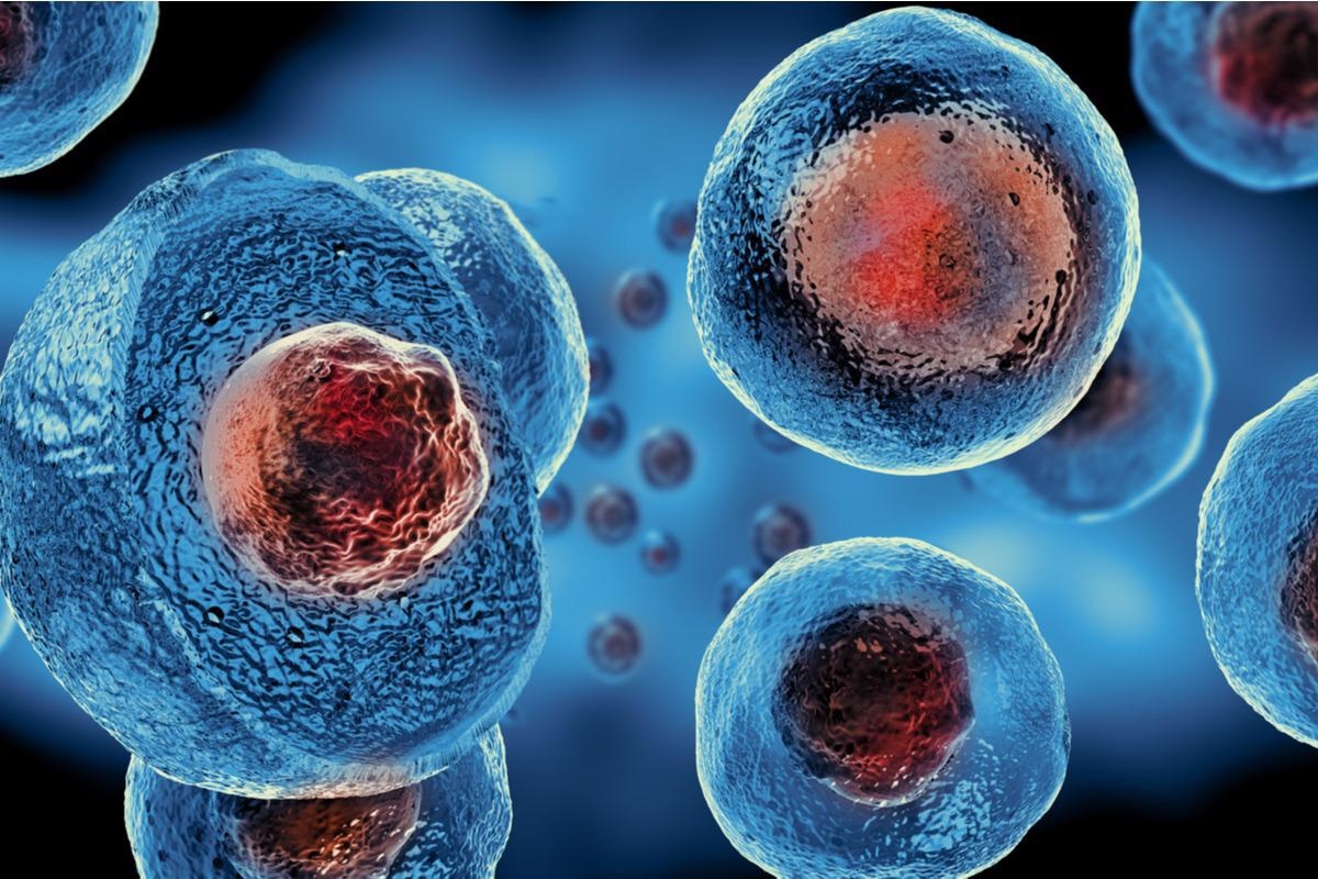 Studio: Quando le cellule staminali incontrano COVID-19: avanzamenti, sfide e prospettive recenti di futuro. Credito di immagine: Giovanni Cancemi/Shutterstock