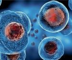 Exploring the relationship between stem cells and COVID-19