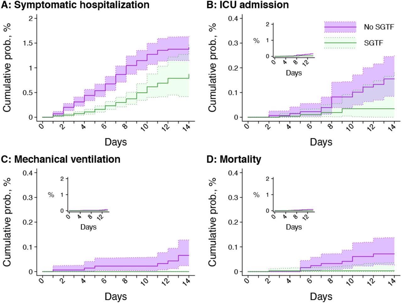 Times to severe outcomes among cases with SGTF and non-SGTF infections first detected in outpatient settings. Panels include (A) symptomatic hospital admissions; (B) ICU admissions; (C) initiations of mechanical ventilation; and (D) mortality. Inset plots within each panel illustrate cumulative probabilities on the same y-axis scale as panel A. Shaded regions denote 95% confidence intervals. Green and violet correspond to detections with and without SGTF (interpreted as a proxy for SARS-CoV-2 Omicron variant infection), respectively.