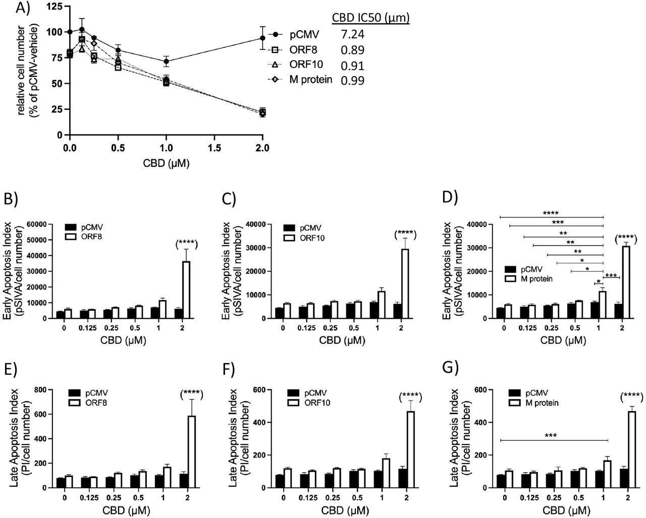 Effect of ORF8, ORF10 or M protein expression, with and without CBD treatment, on HEK293 cell count and apoptosis indices.  (A) Dose-dependent effects of CBD on the relative number of cells per well 24 h after transfection with a control plasmid (pCMV) or plasmids expressing ORF8, ORF10 or the M protein (n = 3-12).  IC50 values ​​for the concentration of CBD in combination with each group are shown.  (BD) Dose-response effect of CBD on early apoptosis index in HEK293 cells expressing pCMV or viral genes at 24 h.  (EG) Dose-response effect of CBD on late apoptosis index in HEK293 cells transfected with control or viral plasmids.  Apoptotic indices were calculated by dividing the relative uptake of the respective marker by the number of cells per well.  Apoptosis data were analyzed by 2-way ANOVA with Tukey's post-hoc test,
