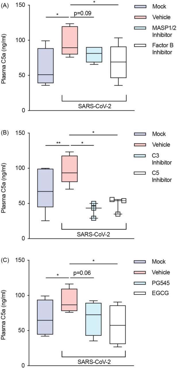 SARS-CoV-2 activa la vía alternativa a través de interacciones con heparán sulfato.  Los niveles de C5a en plasma se evaluaron con un ELISA en sangre humana anticoagulada con lepirudina inoculada con SARS-CoV-2 pretratada con varios inhibidores y miméticos.  Estos incluían antagonistas para (A) MASP1/2 (SFMI-1 10 μM) y factor B (LNP023 10 μM) (n = 5);  (B) C3 (Compstatina 20μM) y C5 (Eculizumab 100μg/mL) (n = 3);  y (C) heparán sulfato (EGCG 100 μM) así como un mimético para heparán sulfato (PG545 100 μg/mL) (n = 4).  El SARS-CoV-2 se inoculó a una MOI de 1,0 durante 24 horas.  Los recuadros representan medianas y rangos intercuartílicos y tienen bigotes de Tukey.  Cuando esto no fue posible, se presentan valores individuales en su lugar.  MOI = multiplicidad de infección;  * P<0.05, ** P<0.01, usando una prueba t de una cola pareada.  Todos los donantes de sangre fueron seronegativos para anticuerpos anti-SARS-CoV-2