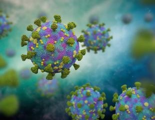 Researchers investigate whether influenza impacted the epidemiological dynamics of SARS-CoV-2