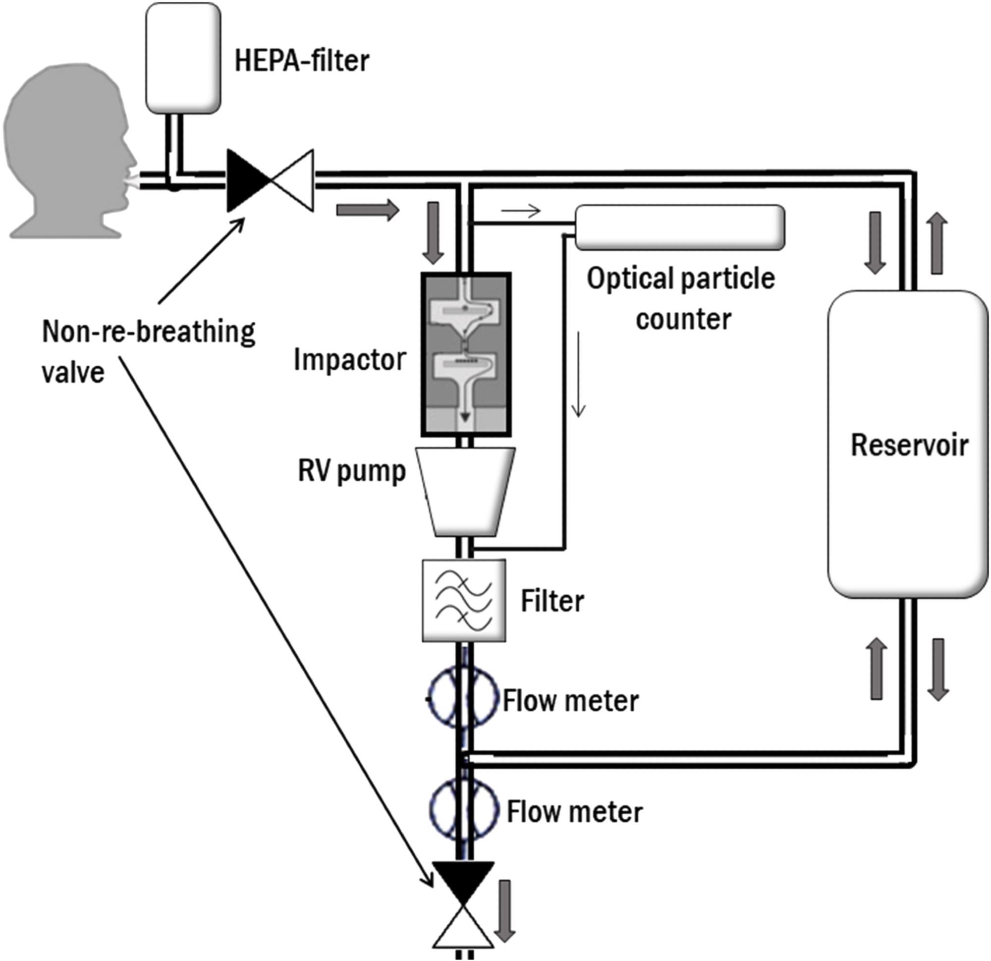 Schematic illustration of the particles in exhaled air (PExA) instrument set-up at collection. Subject breaths through a mouthpiece, connected to a two-way, non-re-breathing valve, where inhalation goes through a high-efficiency particle arresting (HEPA) filter, and exhalation go into the instrument. An optical particle counter samples a fraction of the exhaled air with a constant flow of 20 ml/s. The two-stage inertial impactor collects particles according to size by the control of a rotary vane (RV) pump with a constant flow of 230 ml/s. A reservoir handles exhalations that exceed the flow rate through the impactor
