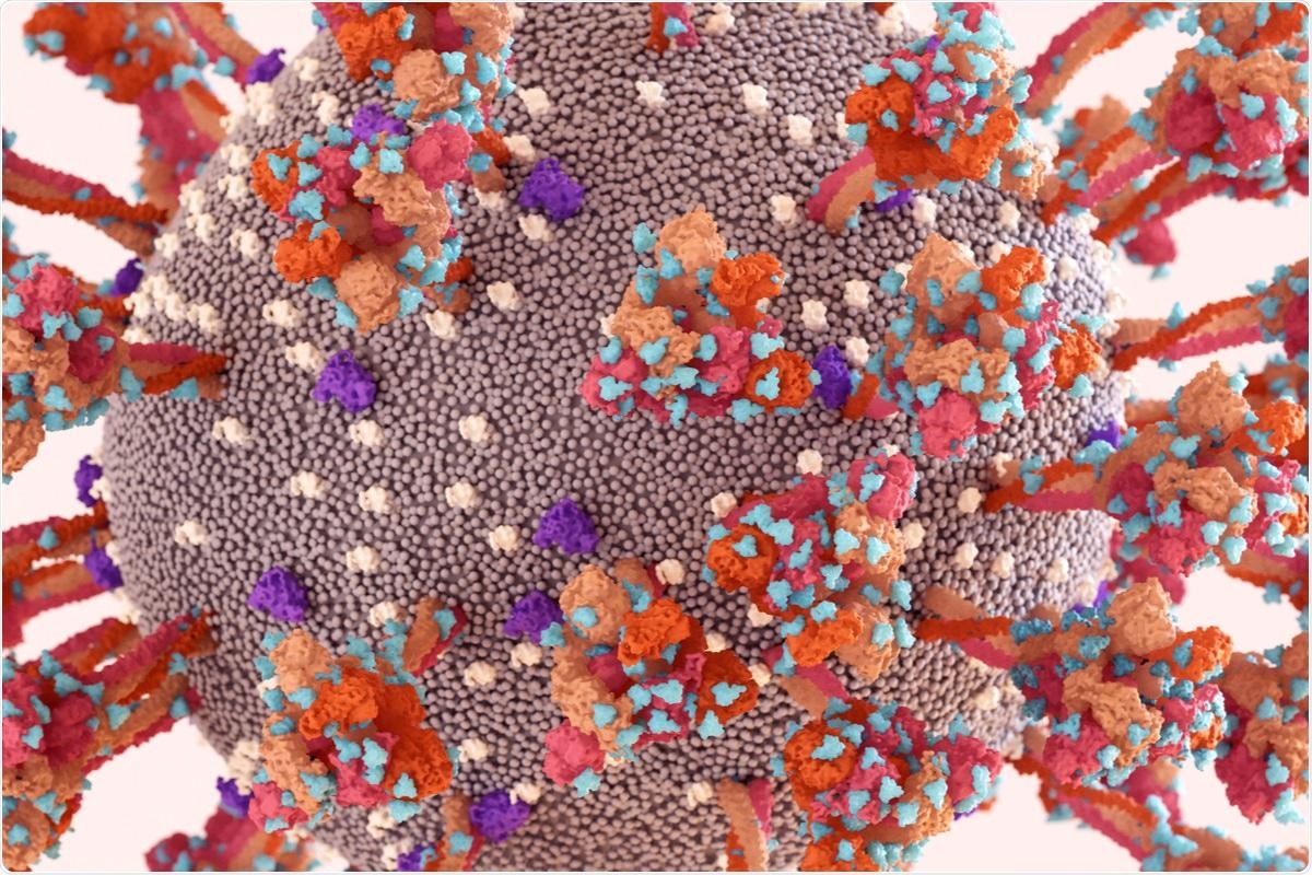 Study: Imprinted SARS-CoV-2-Specific Memory Lymphocytes Define Hybrid Immunity. Image Credit: Design_Cells / Shutterstock.com