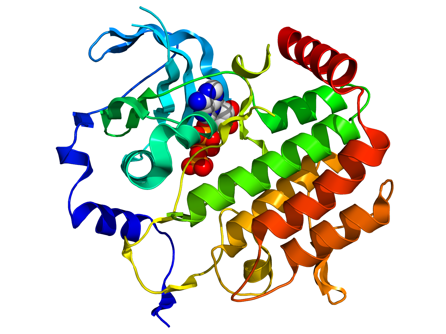 Протеинкиназа а. Серин треониновая протеинкиназа. ДНК картинки для презентации. Протеинкиназы виды. Серин протеинкиназа 11.