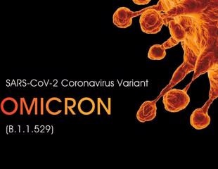 Study shows how SARS-CoV-2 Omicron evades our immune response and remains infective