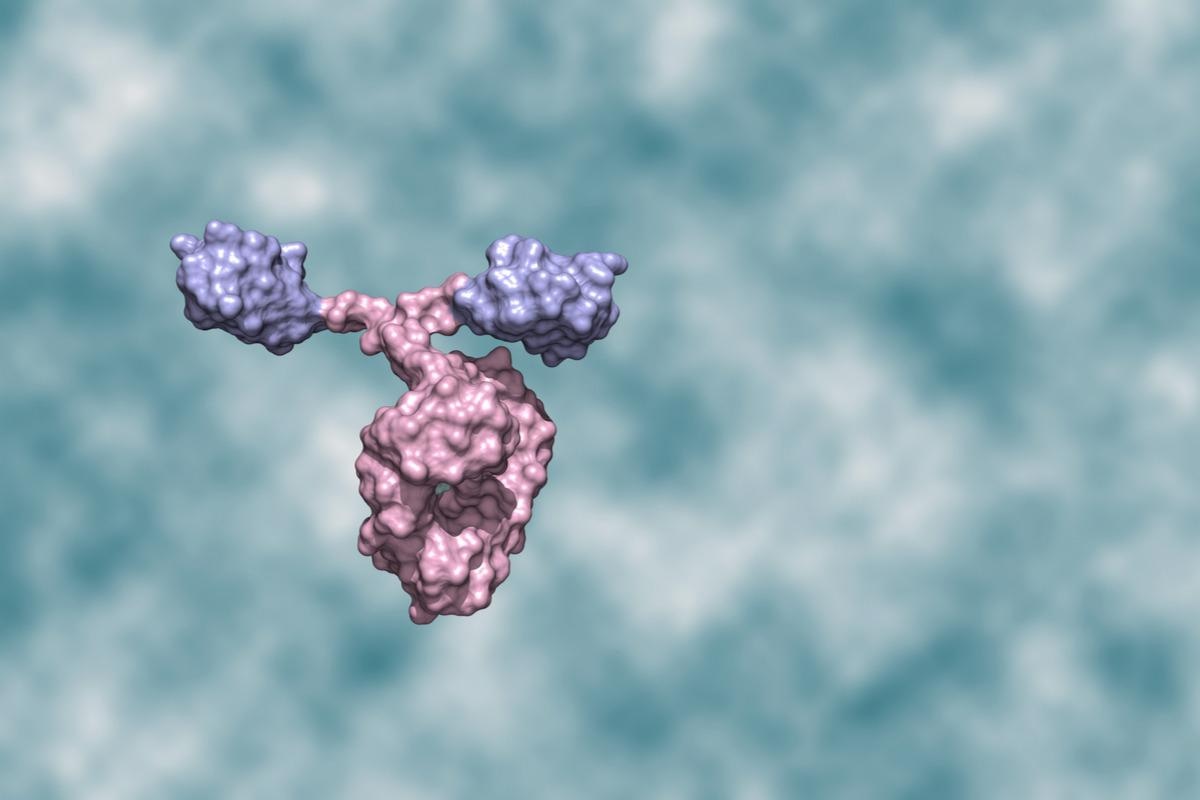 Study: A potent alpaca-derived nanobody that neutralizes SARS-CoV-2 variants. Image Credit: Huen Structure Bio/Shutterstock