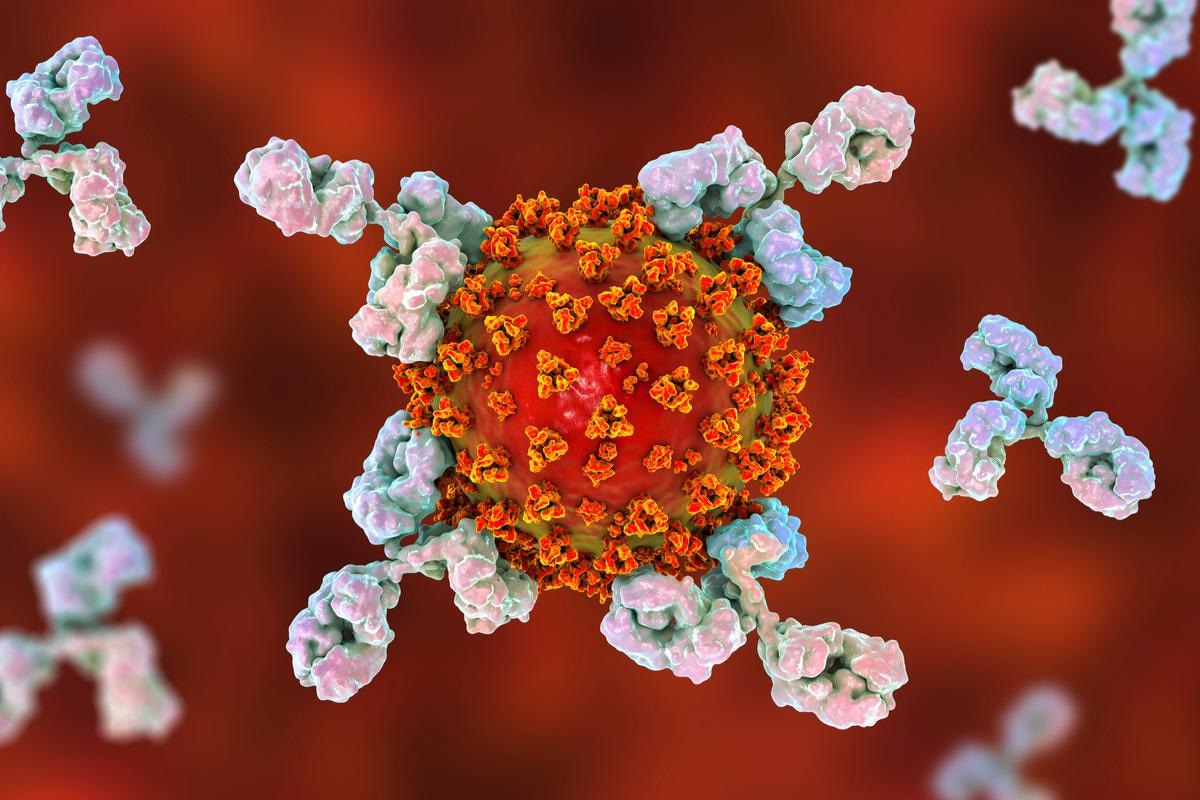 Study: Long-Term Persistence of IgG Antibodies in recovered COVID-19 individuals at 18 months and the impact of two-dose BNT162b2 (Pfizer-BioNTech) mRNA vaccination on the antibody response. Image Credit: Kateryna Kon/Shutterstock