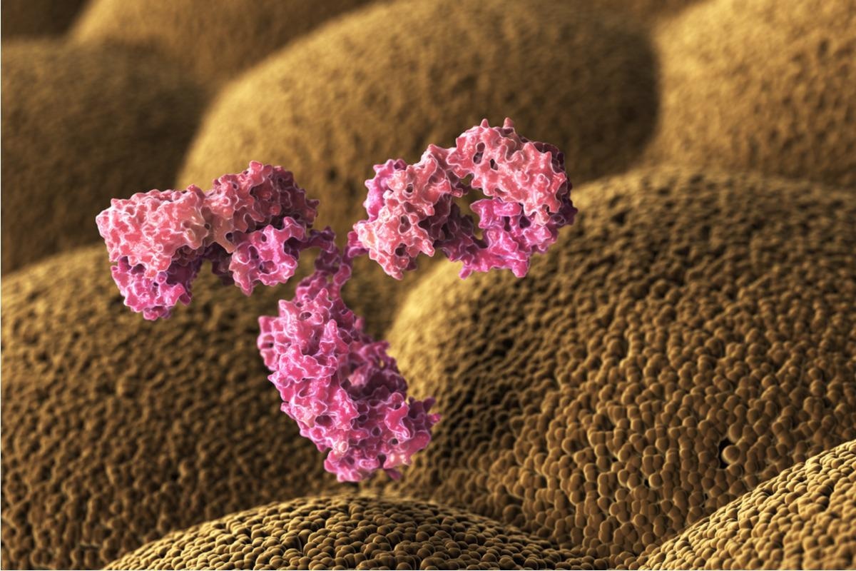 Study: Discovery of a SARS-CoV-2 Broadly-Acting Neutralizing Antibody with Activity against Omicron and Omicron + R346K Variants. Image Credit: Tatiana Shepeleva/Shutterstock