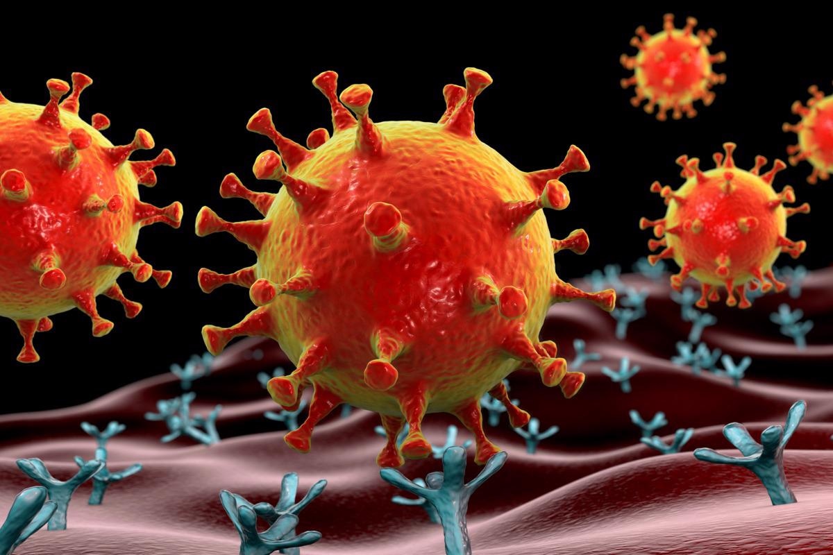 Study: Targeting SARS-CoV-2 infection through CAR T cells and bispecific T cell engagers. Image Credit: Kateryna Kon/Shutterstock