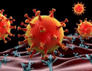 Development of synthetic molecules that can bridge T cells with SARS-CoV-2 infected cells