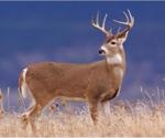 SARS-CoV-2 infection found in wild white-tailed deer in Canada