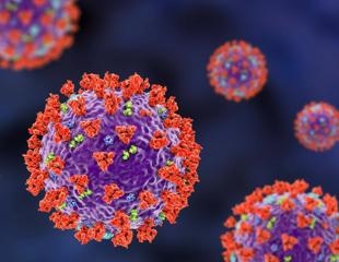Study suggests synthetic SARS-CoV-2 S glycoprotein coated lipid vesicles are an effective vaccine candidate