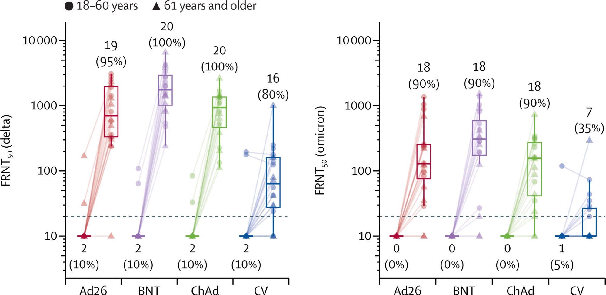 Live virus neutralization titers against delta and omicron variant strains, before and 28 days after boost vaccination by booster vaccine groups In each group, ten samples were selected from each age group (18–60 years, 61 years and older). Lines connect values from the same participant. The dotted line shows the lower limit of the assay. Values below the limit were substituted with a titer of 10. Participants with antibody titers above the lower limit are considered seropositive and are shown as percentages. The midlines of the boxes show medians and the outer bounds of the boxes show IQRs. Error bars extend to the last data point within 1·5 × the IQR above or below the 75th or 25th percentile. See appendix (p 14) for summary statistics.