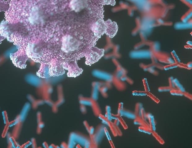 Scientists identify immunogens that can elicit antibody responses against multiple SARS-CoV-2 variants