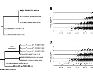 Evidence on intra-host recombination of SARS-CoV-2 during superinfection by Alpha and Epsilon variants in USA