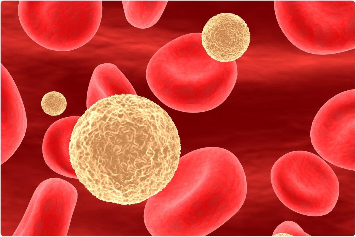 Study: Cytotoxic T lymphocytes targeting a conserved SARS-CoV-2 spike epitope are efficient serial killers. Image Credit: SciePro / Shutterstock.com