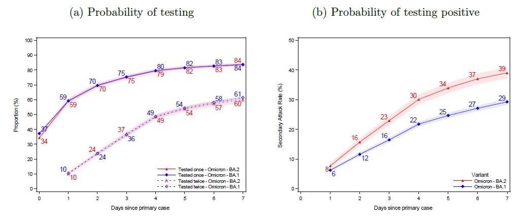 Panel (a) shows the probability of potential secondary cases being tested after a primary case has been identified within the household. Panel (b) shows the probability of potential secondary cases that test positive subsequently to a primary case being identified within the household. Note that the latter is not conditional on being tested, i.e. the denominator contains test-negative individuals and untested individuals. The x-axes show the days since the primary case tested positive, and the y-axes show the proportion of individuals either being tested (a) or testing positive (b) with either antigen or RT-PCR tests, stratified for the subvariant of the primary case. The SAR for each day according to the subvariant primary case can be read directly from panel (b). For example, the SAR on day 7 is 39% for BA.2 (red) and 29% for BA.1 (blue), whereas the SAR on day 4 is 30% and 22%, respectively. The shaded areas show the 95% confidence bands clustered on the household level.