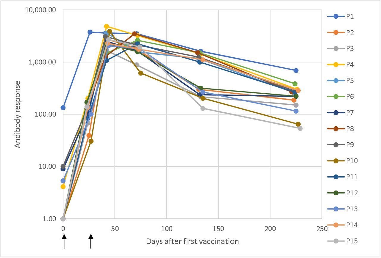 Dynamic changes in antibody response against SARS-CoV-2 in a longitudinal seroconversion panel from 15 participants (P1–P15) before and after vaccination with two doses of the mRNA-1273 SARS-CoV-2 vaccine (Moderna), indicated by arrows. The sample was collected prior to vaccination and up to 6.5 months from the second vaccine dose. These results were obtained using a chemiluminescent immunoassay and are expressed as arbitrary units/mL (AU/mL). Responses ≥ 15.0 units were considered positive. Time 0 corresponds with the sample obtained before the first vaccination dose and the time of the subsequent samples are the elapsed days after the pre-vaccinated sample.