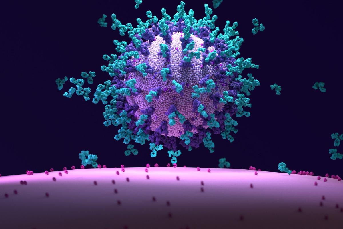 Study: Vaccine-elicited murine antibody WS6 neutralizes diverse beta-coronaviruses by recognizing a helical stem supersite of vulnerability. Image Credit: Design_Cells/Shutterstock