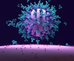 Exploring beta-coronavirus neutralization by vaccine-induced murine antibody WS6