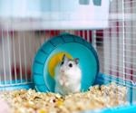 Study reveals pet hamsters can acquire SARS-CoV-2 infection in real-life settings and transmit the virus back to humans