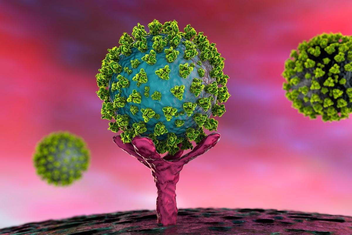 Study: Dynamics of SARS-CoV-2 and host immunity in infection and vaccine protection. Image Credit: Kateryna Kon/Shutterstock