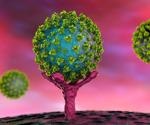 Quantitative framework to investigate the dynamic mechanism of host immune response confronting SARS-CoV-2 infection
