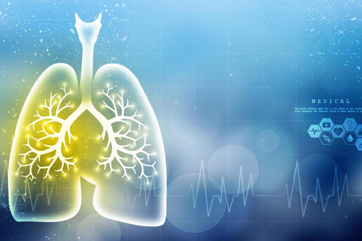 Study: SARS-CoV-2 Omicron variant replication in human bronchus and lung ex vivo. Image Credit: jijomathaidesigners/Shutterstock