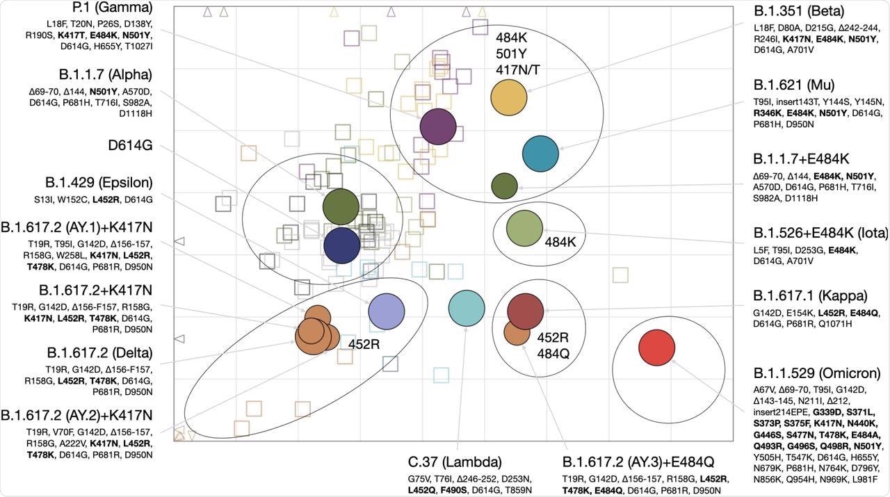Antigenic map of SARS-CoV-2 variants and selected substitutions.