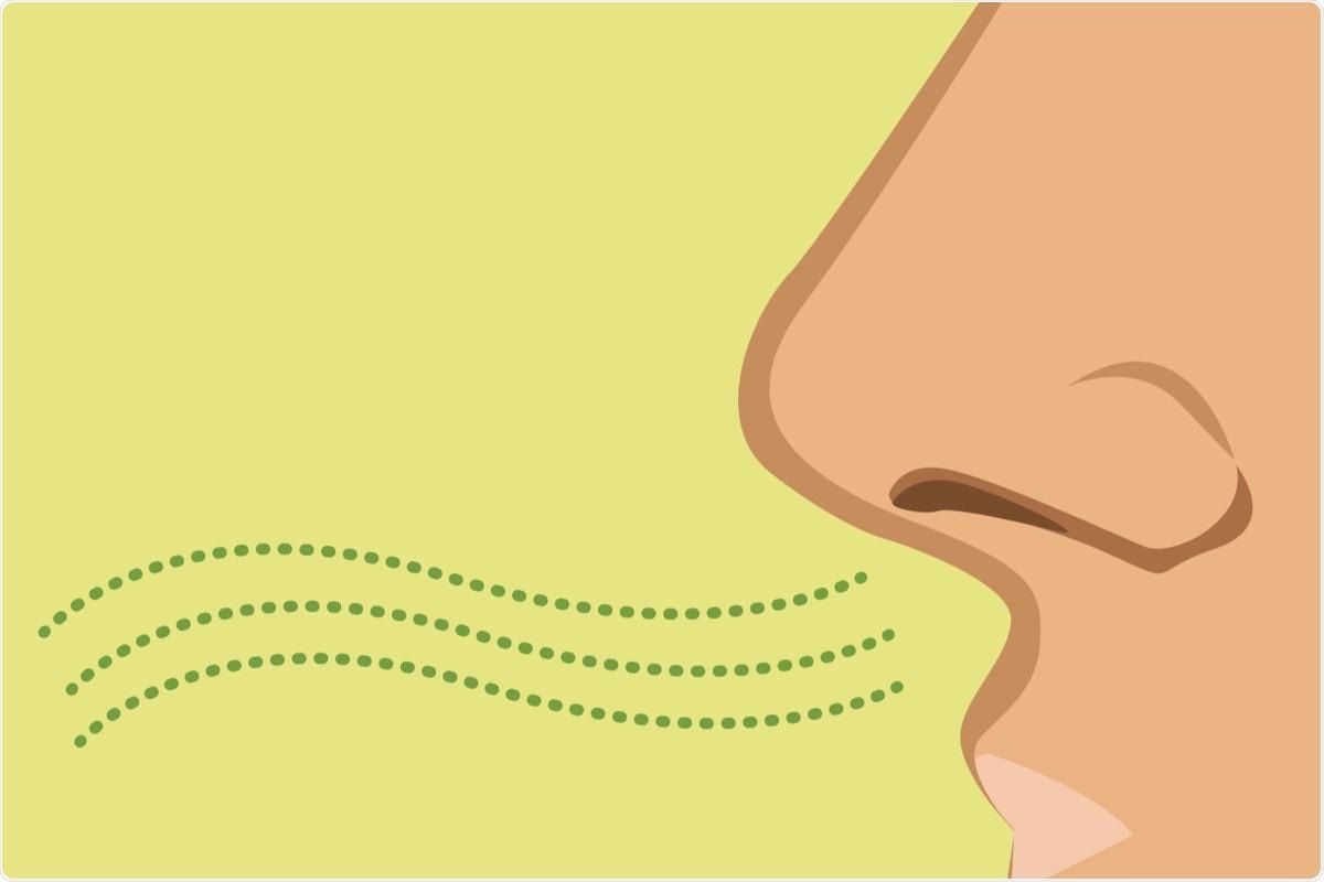 Study: Humoral response, associated symptoms and profile of patients infected by SARS-CoV-2 with taste or smell disorders in the SAPRIS multicohort study. Image Credit: Crystal Eye Studio / Shutterstock.com