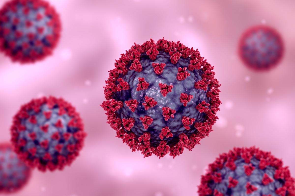 Study: Innate immunity: the first line of defense against SARS-CoV-2. Image Credit: Kateryna Kon/Shutterstock
