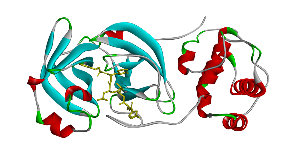 Three-dimensional structural model of the main protease enzyme complex with an antagonist.